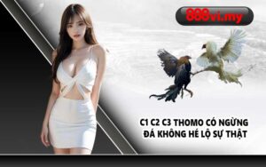 C1 C2 C3 Thomo có ngừng đá không hé lộ sự thật