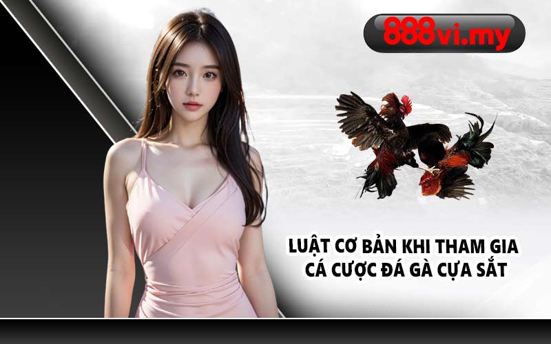 Luật cơ bản khi tham gia cá cược đá gà cựa sắt