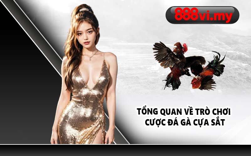 Tổng quan về trò chơi cược đá gà cựa sắt